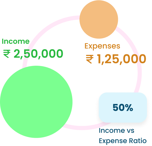 Financial Health Assessment